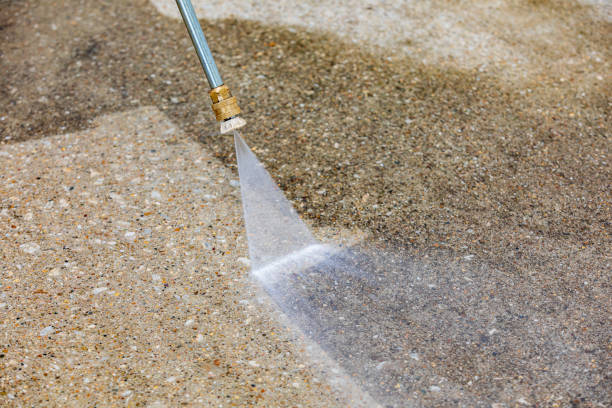 Best Roof Washing  in Jemez Pueblo, NM