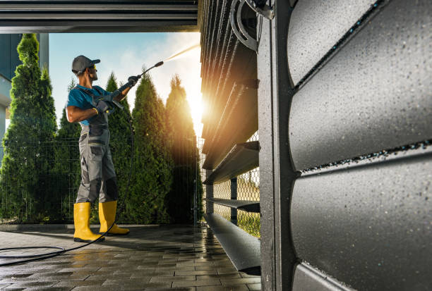 Best Driveway Pressure Washing  in Jemez Pueblo, NM